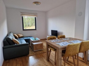 Cozy Ski Apartment Jahorina